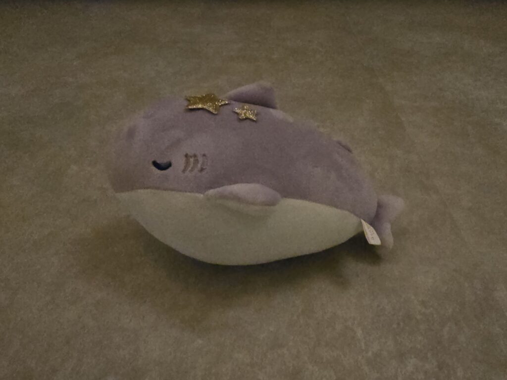 Galaxy S24 Ultra 広角